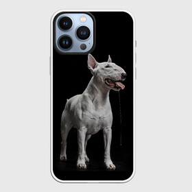 Чехол для iPhone 13 Pro Max с принтом Bully в Петрозаводске,  |  | bull terrier | dog | ears | eyes | fangs | jaw | muzzle | paws | saliva | tongue | бультерьер | глаза | клыки | лапы | нос | пасть | слюна | собака | уши | язык