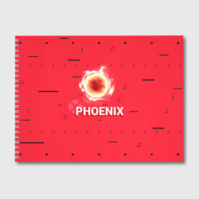 Альбом для рисования с принтом Phoenix в Петрозаводске, 100% бумага
 | матовая бумага, плотность 200 мг. | new year | phoenix | phoenix valorant | valorant | valorant новогодний | агент валорант. | агент феникс | валорант | валорант новогодний | валорант узор | валорант феникс | игрок феникс | нг | новый год | орнамент | паттерн