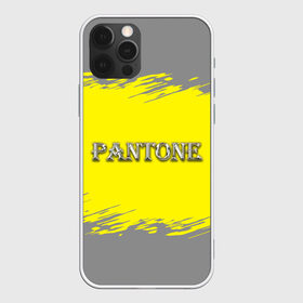 Чехол для iPhone 12 Pro Max с принтом Grey and Illuminating Yellow в Петрозаводске, Силикон |  | 2021 | antone | design | grey | illuminating | pantone | silver | ultimate grey | yellow | безупречный серый | дизайн | дизайнерский | логотип | надпись | освещающий | серебряный | текстура | тренд года | трендовые цвета | цвет | цвет 2021 г