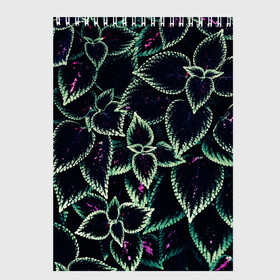 Скетчбук с принтом Зеленые кусты в Петрозаводске, 100% бумага
 | 48 листов, плотность листов — 100 г/м2, плотность картонной обложки — 250 г/м2. Листы скреплены сверху удобной пружинной спиралью | зеленый | зелень | кусты | природа | растение | розовый | салатовый