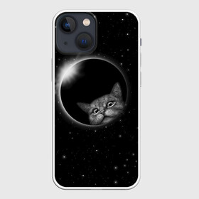 Чехол для iPhone 13 mini с принтом Кот в Космосе в Петрозаводске,  |  | 2021 | cat | вселенная | галактика | галактический кот | единорог | звезда | звезды | земля | космический кот | космос | кот | кот в космосе | кот мем | котик | кошак | мем | мемы | милый кот | милый котик