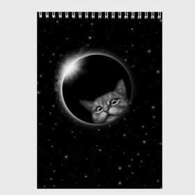 Скетчбук с принтом Кот в Космосе в Петрозаводске, 100% бумага
 | 48 листов, плотность листов — 100 г/м2, плотность картонной обложки — 250 г/м2. Листы скреплены сверху удобной пружинной спиралью | 2021 | cat | вселенная | галактика | галактический кот | единорог | звезда | звезды | земля | космический кот | космос | кот | кот в космосе | кот мем | котик | кошак | мем | мемы | милый кот | милый котик