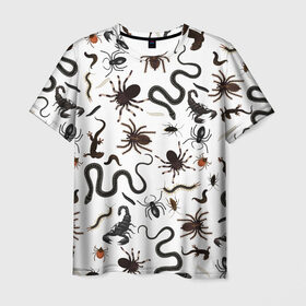 Мужская футболка 3D с принтом Жуткие насекомые в Петрозаводске, 100% полиэфир | прямой крой, круглый вырез горловины, длина до линии бедер | арт | белый | живность | животные | жук | жуткие насекомые | жуть | змея | клоп | набор насекомых | опарыш | паразит | паук | пиявка | рисунок | сколопендра | скорпион | таракан | фон | червь | ядовитый