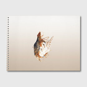 Альбом для рисования с принтом летящая сова рисунок в Петрозаводске, 100% бумага
 | матовая бумага, плотность 200 мг. | акварель | акварельный | арт | брызги | градиент | животные | звери | краска | крылья | момент | полет | потеки | рисунок | скетч | сова | филин