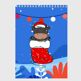 Скетчбук с принтом Бык в новогоднем носке в Петрозаводске, 100% бумага
 | 48 листов, плотность листов — 100 г/м2, плотность картонной обложки — 250 г/м2. Листы скреплены сверху удобной пружинной спиралью | Тематика изображения на принте: 2021 | 7 января | bull | newyear | santa | бык | быки | бычок | год быка | дед мороз | корова | новогодние каникулы | новогодние праздники | новый 2021 | новый год | новый год 2021 | рождество | сани | санта | санта клаус