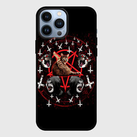 Чехол для iPhone 13 Pro Max с принтом Satanic Cat в Петрозаводске,  |  | satan | киска | кот | кот мем | кошечка | кошка | кошки и коты | лиса | лисы | мем | мемы | с кошкой | сатана