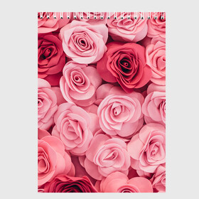 Скетчбук с принтом Розовые Розы в Петрозаводске, 100% бумага
 | 48 листов, плотность листов — 100 г/м2, плотность картонной обложки — 250 г/м2. Листы скреплены сверху удобной пружинной спиралью | pink | rose | день святого валентина | красивый | любовь | прекрасный | роза | цветок | цветы