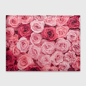 Обложка для студенческого билета с принтом Розовые Розы в Петрозаводске, натуральная кожа | Размер: 11*8 см; Печать на всей внешней стороне | Тематика изображения на принте: pink | rose | день святого валентина | красивый | любовь | прекрасный | роза | цветок | цветы