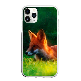 Чехол для iPhone 11 Pro Max матовый с принтом Рыжая лиса в Петрозаводске, Силикон |  | Тематика изображения на принте: fox | foxy | животное | звери | лиса | лисенок | лисичка | милая | рыжая | фокс