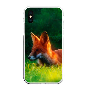Чехол для iPhone XS Max матовый с принтом Рыжая лиса в Петрозаводске, Силикон | Область печати: задняя сторона чехла, без боковых панелей | fox | foxy | животное | звери | лиса | лисенок | лисичка | милая | рыжая | фокс