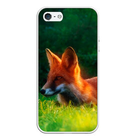 Чехол для iPhone 5/5S матовый с принтом Рыжая лиса в Петрозаводске, Силикон | Область печати: задняя сторона чехла, без боковых панелей | fox | foxy | животное | звери | лиса | лисенок | лисичка | милая | рыжая | фокс