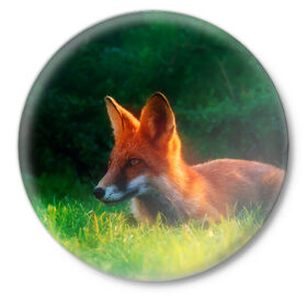 Значок с принтом Рыжая лиса в Петрозаводске,  металл | круглая форма, металлическая застежка в виде булавки | fox | foxy | животное | звери | лиса | лисенок | лисичка | милая | рыжая | фокс