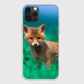 Чехол для iPhone 12 Pro Max с принтом маленький лисенок в Петрозаводске, Силикон |  | Тематика изображения на принте: fox | foxy | животное | звери | лиса | лисенок | лисичка | милая | рыжая | фокс
