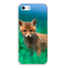 Чехол для iPhone 5/5S матовый с принтом маленький лисенок в Петрозаводске, Силикон | Область печати: задняя сторона чехла, без боковых панелей | fox | foxy | животное | звери | лиса | лисенок | лисичка | милая | рыжая | фокс