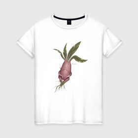 Женская футболка хлопок с принтом Мандрагора в Петрозаводске, 100% хлопок | прямой крой, круглый вырез горловины, длина до линии бедер, слегка спущенное плечо | корни | листочки | растение | фэнтези