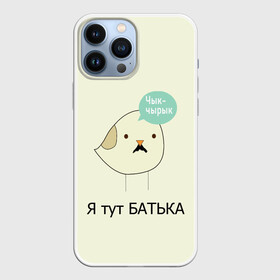 Чехол для iPhone 13 Pro Max с принтом Чык чырык в Петрозаводске,  |  | belarus | chyk chyryk | daddy | lukashenka | mustache | print chyk chyryk | sparrow | sparrow chyk chyryk | sparrow with mustache | батька | беларусь | воробей | воробей с усами | воробей чык чырык | лукашенко | принт чык чырык | усы | чык ч