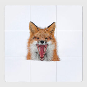 Магнитный плакат 3Х3 с принтом Снежная лиса в Петрозаводске, Полимерный материал с магнитным слоем | 9 деталей размером 9*9 см | fox | foxy | животное | звери | лиса | лисенок | лисичка | милая | рыжая | фокс