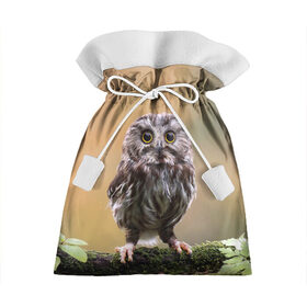 Подарочный 3D мешок с принтом СОВЕНОК в Петрозаводске, 100% полиэстер | Размер: 29*39 см | animal | bird | животные | звери | лес | малыш | природа | птенец | птицы | сова | совенок