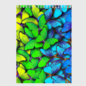 Скетчбук с принтом Радужные бабочки в Петрозаводске, 100% бумага
 | 48 листов, плотность листов — 100 г/м2, плотность картонной обложки — 250 г/м2. Листы скреплены сверху удобной пружинной спиралью | абстракция | бабочки | градиент | неон | природа | радуга | узор | фон | яркий узор