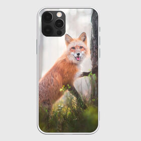 Чехол для iPhone 12 Pro Max с принтом Лисица в Петрозаводске, Силикон |  | Тематика изображения на принте: fox | foxy | животное | звери | лиса | лисенок | лисичка | милая | рыжая | фокс