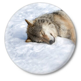 Значок с принтом Спящий Волк в Петрозаводске,  металл | круглая форма, металлическая застежка в виде булавки | animals | wolf | волк | волки | животные | звери | зверь | одиночество | одиночка | пёс | собака | спящий волк