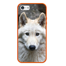 Чехол для iPhone 5/5S матовый с принтом Волк в Петрозаводске, Силикон | Область печати: задняя сторона чехла, без боковых панелей | animals | wolf | волк | волки | животные | звери | зверь | луна | одиночество | одиночка | пёс | собака