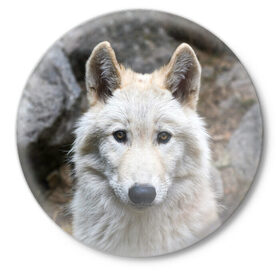 Значок с принтом Волк в Петрозаводске,  металл | круглая форма, металлическая застежка в виде булавки | Тематика изображения на принте: animals | wolf | волк | волки | животные | звери | зверь | луна | одиночество | одиночка | пёс | собака