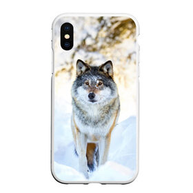 Чехол для iPhone XS Max матовый с принтом Я зимой в Петрозаводске, Силикон | Область печати: задняя сторона чехла, без боковых панелей | animals | wolf | волк | волки | животные | звери | зверь | луна | одиночество | одиночка | пёс | собака