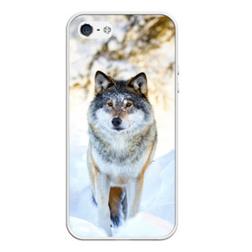 Чехол для iPhone 5/5S матовый с принтом Я зимой в Петрозаводске, Силикон | Область печати: задняя сторона чехла, без боковых панелей | animals | wolf | волк | волки | животные | звери | зверь | луна | одиночество | одиночка | пёс | собака
