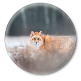 Значок с принтом Лиса в Петрозаводске,  металл | круглая форма, металлическая застежка в виде булавки | fox | foxy | животное | звери | лиса | лисенок | лисичка | милая | рыжая | фокс