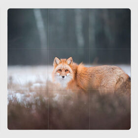 Магнитный плакат 3Х3 с принтом Лиса в Петрозаводске, Полимерный материал с магнитным слоем | 9 деталей размером 9*9 см | fox | foxy | животное | звери | лиса | лисенок | лисичка | милая | рыжая | фокс