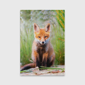 Обложка для паспорта матовая кожа с принтом Лисичка в Петрозаводске, натуральная матовая кожа | размер 19,3 х 13,7 см; прозрачные пластиковые крепления | Тематика изображения на принте: fox | foxy | животное | звери | лиса | лисенок | лисичка | милая | рыжая | фокс