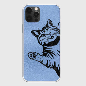 Чехол для iPhone 12 Pro Max с принтом Улыбающийся кот в Петрозаводске, Силикон |  | Тематика изображения на принте: cat | веселый | дай | картинки | кот | котенок | котик | котики | котяра | кошечка | кошка | красивый | лапки | лапу | лапы | милый | подмигивает | рисунок | смешной | улыбающийся | усы | хороший