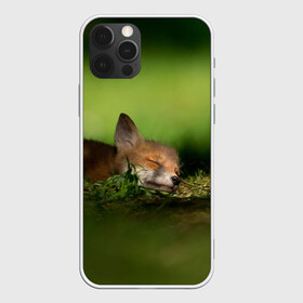 Чехол для iPhone 12 Pro Max с принтом Сонный лисенок в Петрозаводске, Силикон |  | Тематика изображения на принте: fox | foxy | животное | звери | лиса | лисенок | лисичка | милая | рыжая | фокс