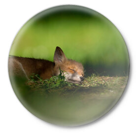 Значок с принтом Сонный лисенок в Петрозаводске,  металл | круглая форма, металлическая застежка в виде булавки | fox | foxy | животное | звери | лиса | лисенок | лисичка | милая | рыжая | фокс