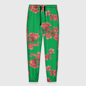 Мужские брюки 3D с принтом Цветы айвы на зеленом фоне в Петрозаводске, 100% полиэстер | манжеты по низу, эластичный пояс регулируется шнурком, по бокам два кармана без застежек, внутренняя часть кармана из мелкой сетки | 8 марта | flowers | summer | айва | ботаническая иллюстрация | весна | ветки | зеленый | коричневый | красный | лето | любовь | праздник | принт | природа | растения | цветы