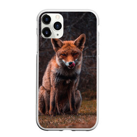Чехол для iPhone 11 Pro матовый с принтом Хищная лисица в Петрозаводске, Силикон |  | fox | foxy | животное | звери | лиса | лисенок | лисичка | милая | рыжая | фокс
