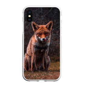 Чехол для iPhone XS Max матовый с принтом Хищная лисица в Петрозаводске, Силикон | Область печати: задняя сторона чехла, без боковых панелей | fox | foxy | животное | звери | лиса | лисенок | лисичка | милая | рыжая | фокс