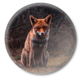 Значок с принтом Хищная лисица в Петрозаводске,  металл | круглая форма, металлическая застежка в виде булавки | fox | foxy | животное | звери | лиса | лисенок | лисичка | милая | рыжая | фокс