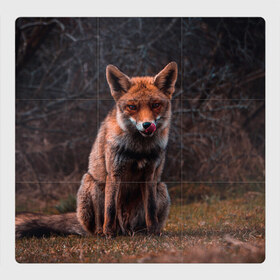 Магнитный плакат 3Х3 с принтом Хищная лисица в Петрозаводске, Полимерный материал с магнитным слоем | 9 деталей размером 9*9 см | fox | foxy | животное | звери | лиса | лисенок | лисичка | милая | рыжая | фокс