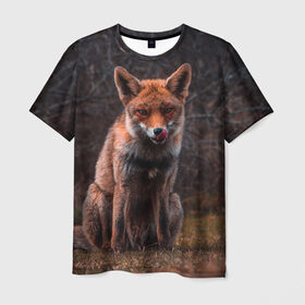 Мужская футболка 3D с принтом Хищная лисица в Петрозаводске, 100% полиэфир | прямой крой, круглый вырез горловины, длина до линии бедер | fox | foxy | животное | звери | лиса | лисенок | лисичка | милая | рыжая | фокс