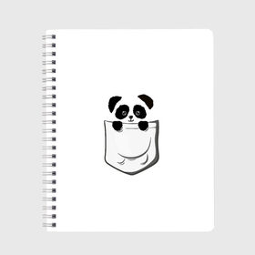 Тетрадь с принтом Панда В Кармане в Петрозаводске, 100% бумага | 48 листов, плотность листов — 60 г/м2, плотность картонной обложки — 250 г/м2. Листы скреплены сбоку удобной пружинной спиралью. Уголки страниц и обложки скругленные. Цвет линий — светло-серый
 | animals | beats | head | panda | pocket | в кармане | голова | животные | звери | лапки | любовь | панда