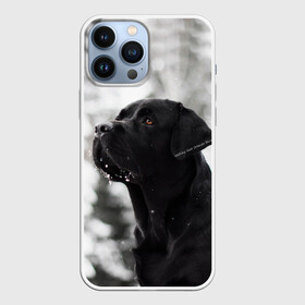 Чехол для iPhone 13 Pro Max с принтом Лабрадор Марк в Петрозаводске,  |  | dog | winter | животные | зима | лабрадор | лабрадор ретривер | снег | собака