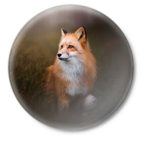 Значок с принтом Лиса-охотница в Петрозаводске,  металл | круглая форма, металлическая застежка в виде булавки | fox | foxy | животное | звери | лиса | лисенок | лисичка | милая | рыжая | фокс