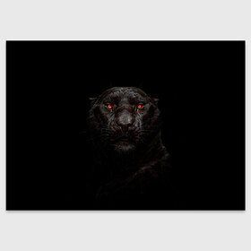 Поздравительная открытка с принтом ПАНТЕРА в Петрозаводске, 100% бумага | плотность бумаги 280 г/м2, матовая, на обратной стороне линовка и место для марки
 | animal | black | cat | dark | hunter | pantera | strong | глаза | грация | животные | звери | кошки | красота | пантера | сила | хищник