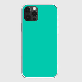 Чехол для iPhone 12 Pro Max с принтом Бискайский зеленый без рисунка в Петрозаводске, Силикон |  | 2020 года | biscay | biscay green | panton vesna | pantone | бирюзовый | бискайский залив | бискайский зеленый | весна лето | зеленый | модные цвета | цвет 2020 года