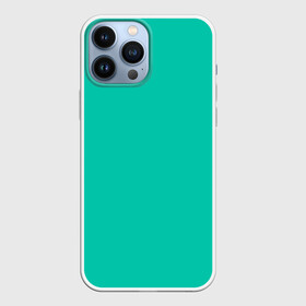 Чехол для iPhone 13 Pro Max с принтом Бискайский зеленый без рисунка в Петрозаводске,  |  | Тематика изображения на принте: 2020 года | biscay | biscay green | panton vesna | pantone | бирюзовый | бискайский залив | бискайский зеленый | весна лето | зеленый | модные цвета | цвет 2020 года