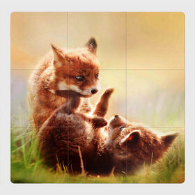 Магнитный плакат 3Х3 с принтом Лисята играют в Петрозаводске, Полимерный материал с магнитным слоем | 9 деталей размером 9*9 см | fox | foxy | животное | звери | лиса | лисенок | лисичка | милая | рыжая | фокс