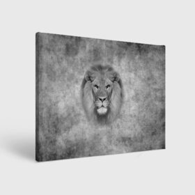 Холст прямоугольный с принтом Лев в Петрозаводске, 100% ПВХ |  | big cat | lion | зверь | кошка | лев | львенок | львица | хищник | царь зверей