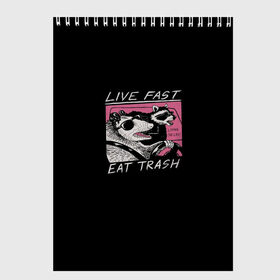 Скетчбук с принтом Live fast Eat trash в Петрозаводске, 100% бумага
 | 48 листов, плотность листов — 100 г/м2, плотность картонной обложки — 250 г/м2. Листы скреплены сверху удобной пружинной спиралью | Тематика изображения на принте: eat | fast | live | snap | snap collection | trash | быстро | еда | енот | жизнь | мода | мусор | опоссум | очки